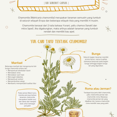 Poster Chamomile_Kiran (1)