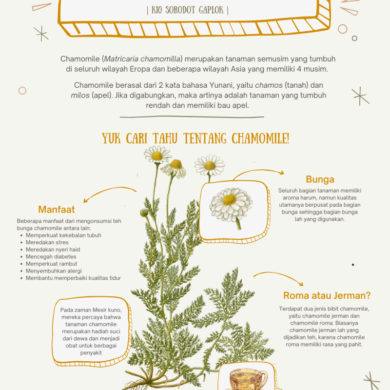 Poster Chamomile_Kiran (1).png