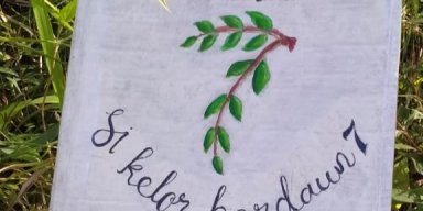 Moringa [Kelompok 7]