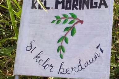 Moringa [Kelompok 7]