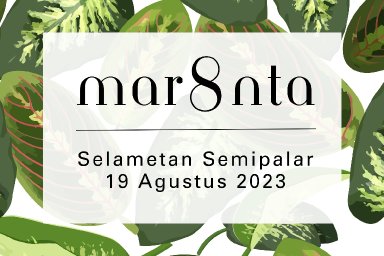 Maranta [Kelompok 8]