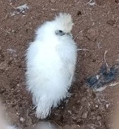 WhatsApp Image 20230822 at 18.55.38 1.jpeg