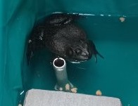 WhatsApp Image 20230822 at 18.56.23.jpeg