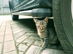 WhatsApp Image 20231024 at 9.16.08 PM.jpeg