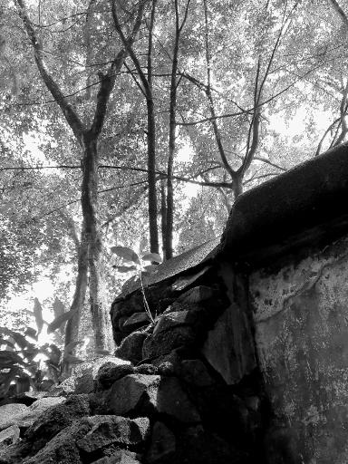 IMG_20241103_09_35_17_resize_71 1.jpg