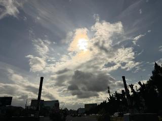 WhatsApp Image 20250205 at 9.08.29 AM.jpeg