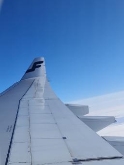 WhatsApp Image 20250213 at 7.35.17 AM.jpeg