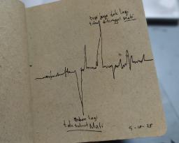 WhatsApp Image 20251008 at 14.12.21.jpeg