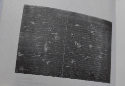 WhatsApp Image 20251008 at 14.12.22.jpeg