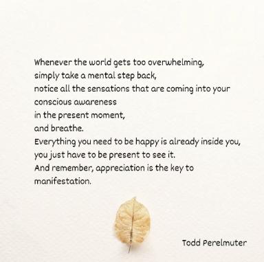 WhatsApp Image 20260419 at 8.44.54 AM.jpeg