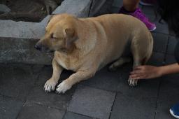 Untitled design 7.jpg