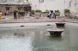 Untitled design 11.jpg