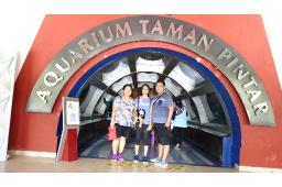 Untitled design 3.jpg