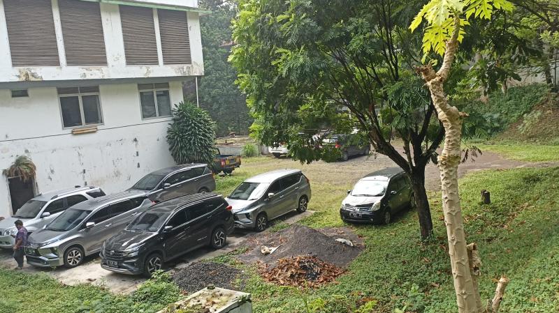 WhatsApp Image 20221209 at 9.05.47 AM.jpeg