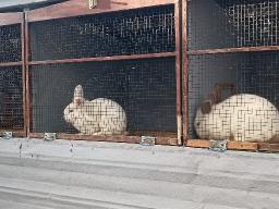 WhatsApp Image 20230822 at 18.55.39.jpeg