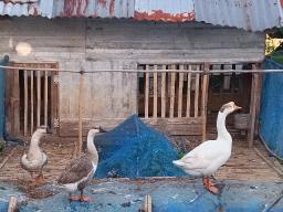 WhatsApp Image 20230822 at 18.55.38.jpeg